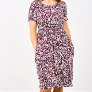 Latched Mama Red and White Fit and Flare Midi Dress